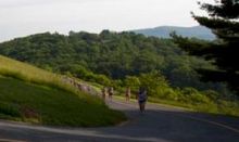 Runners in Charlottesville on a mountain road course