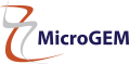 MicroGEM log