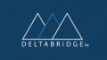 Delta Bridge, INC Logo